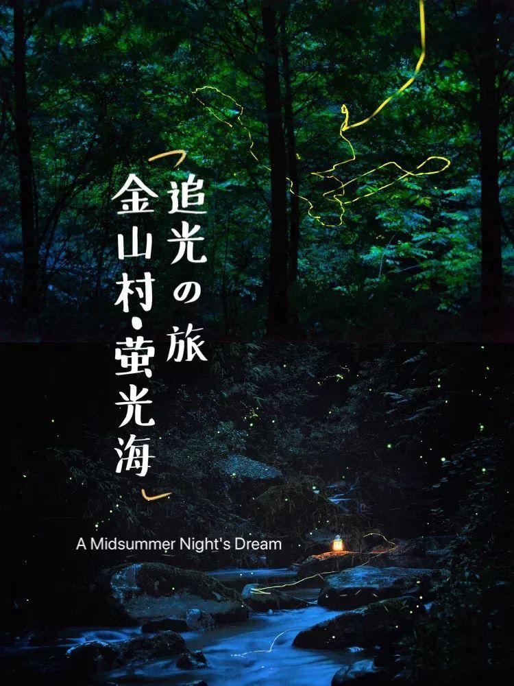 水仙花怎么养游戏画面